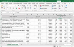 Archivo de Ms Excel con todos los datos de los CFDIs, mostrando conceptos y desglose de impuestos por tasa y tipo.
