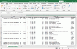 Archivo de Ms Excel con el desglose de los conceptos de los XMLs, mostrando la cantidad, unidad, descripción, precios, etc.