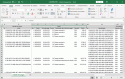 Archivo de Excel con el desglose de los recibos de pago, mostrando los datos del pago realizado y los documentos a los que aplica.